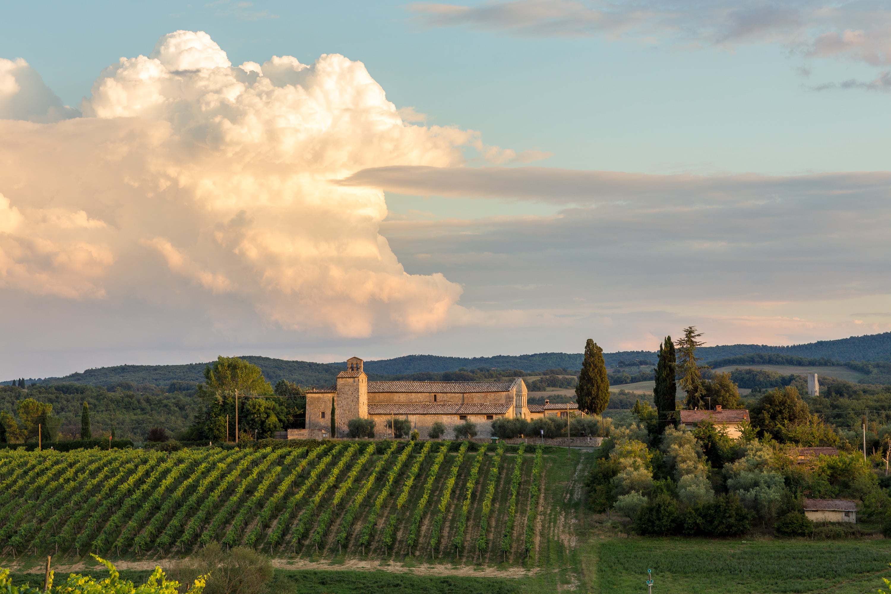 Bloom in Tuscany — castle in the hills near Siena