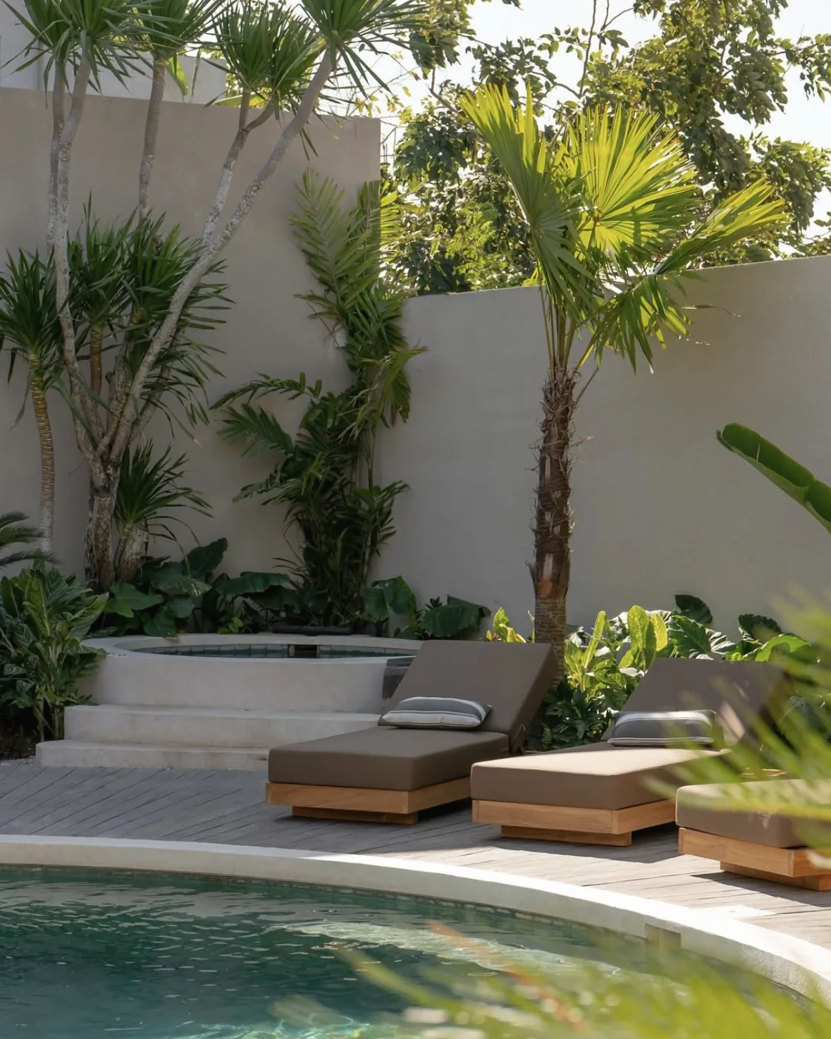 The pool, loungers and plunge pool framed by palms